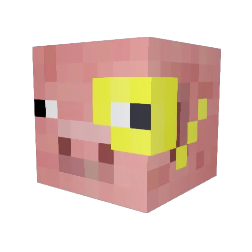 PopoJet Minecraft avatar head, 3D render