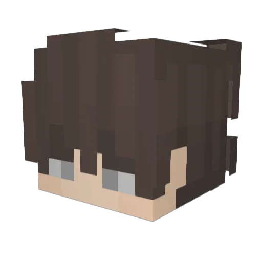 Popp_Mc Minecraft avatar head, 3D render