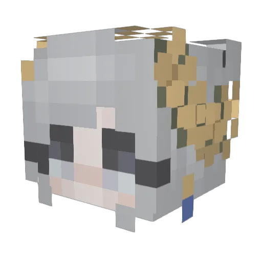 Poppichen Minecraft avatar head, 3D render