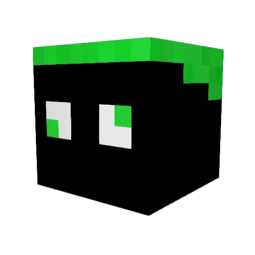 Poppo12 Minecraft avatar head, 3D render