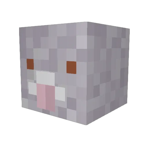 Poppo_1ws Minecraft avatar head, 3D render