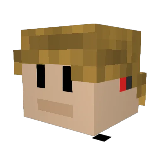 Poppomatic64 Minecraft avatar head, 3D render