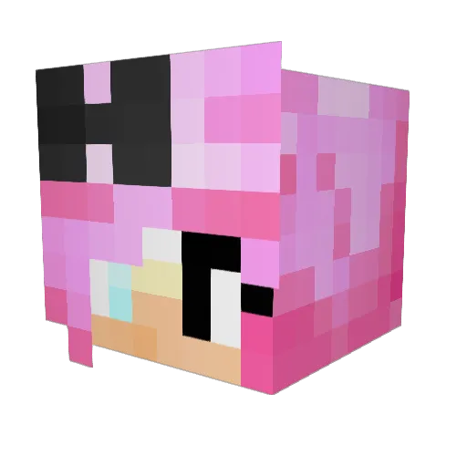 Poppppyy_ Minecraft avatar head, 3D render