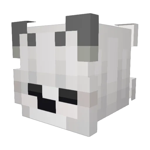 PoppyCat1665 Minecraft avatar head, 3D render