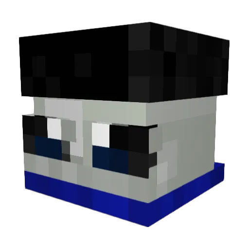PoppyJay00 Minecraft avatar head, 3D render