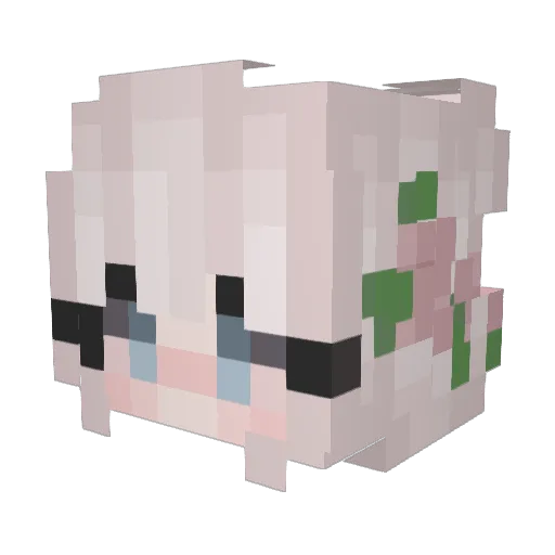 PoppyKat1999 Minecraft avatar head, 3D render