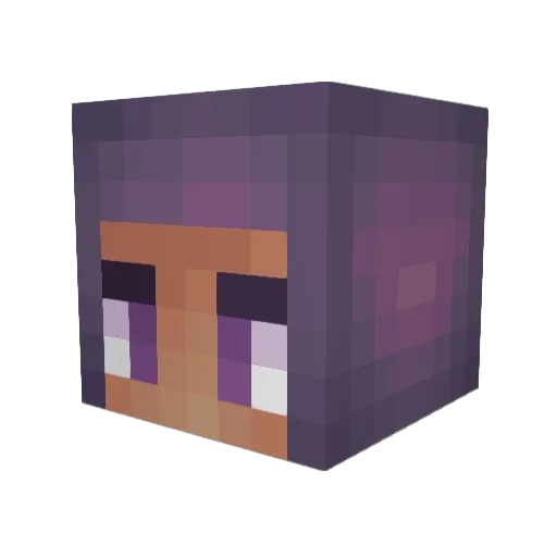 PoppySpeed3 Minecraft avatar head, 3D render