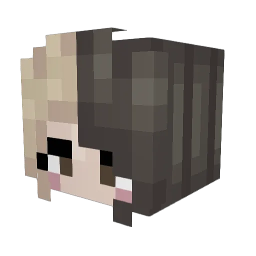 Poppy_Playz_MC_ Minecraft avatar head, 3D render