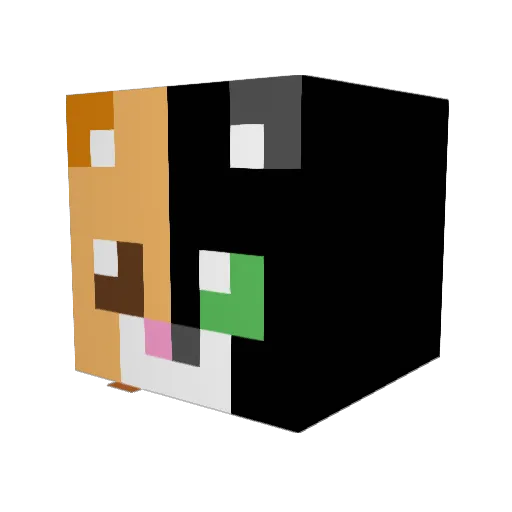 Poppyandclem Minecraft avatar head, 3D render