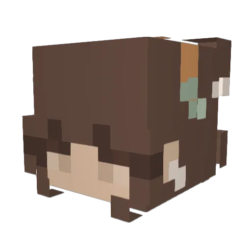 PoppylikesCows Minecraft avatar head, 3D render