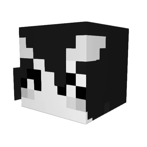 Poppypolarity Minecraft avatar head, 3D render