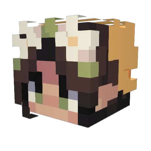 Poppypoll Minecraft avatar head, 3D render