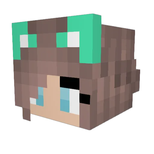 PoppysNo1Fan Minecraft avatar head, 3D render