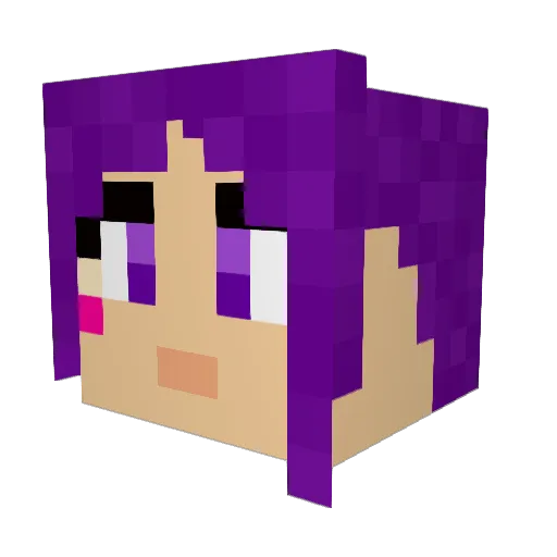 Popsi29 Minecraft avatar head, 3D render