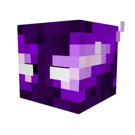 Popsie12 Minecraft avatar head, 3D render