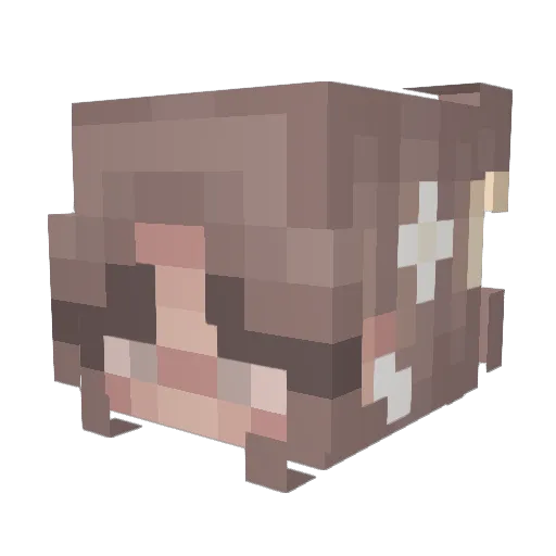 Popsiii Minecraft avatar head, 3D render