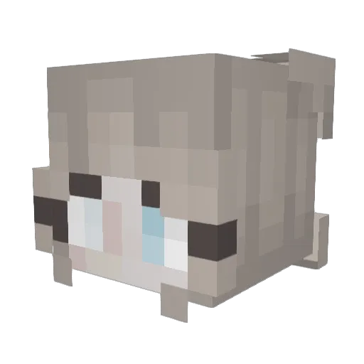 Popsycool Minecraft avatar head, 3D render