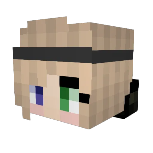 Poptart998 Minecraft avatar head, 3D render