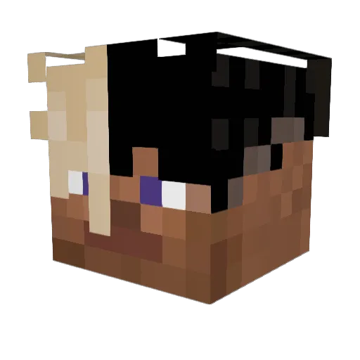 PoptartCrumbs Minecraft avatar head, 3D render