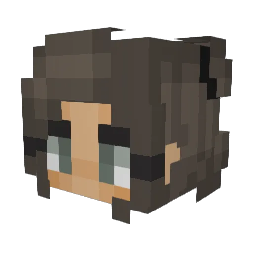 Poptartx3 Minecraft avatar head, 3D render