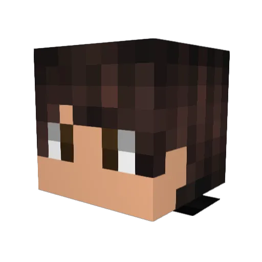 Popular_Python1 Minecraft avatar head, 3D render
