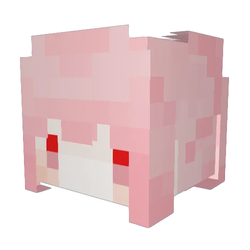 Popupupu Minecraft avatar head, 3D render