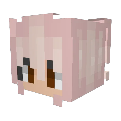 PorcelianWaste Minecraft avatar head, 3D render