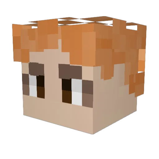 Porchie8 Minecraft avatar head, 3D render