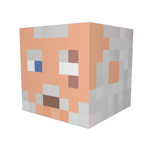 Porchiges Minecraft avatar head, 3D render