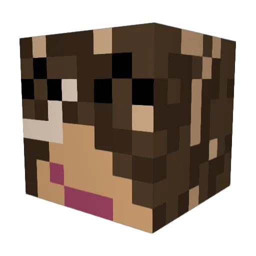 Porg2020 Minecraft avatar head, 3D render