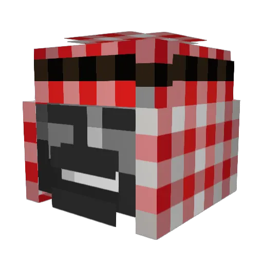 Porisge10 Minecraft avatar head, 3D render