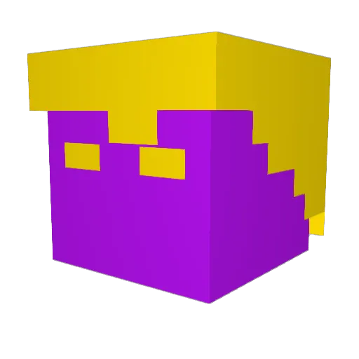 Poritz_ Minecraft avatar head, 3D render