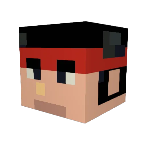 PorkAndCookies Minecraft avatar head, 3D render