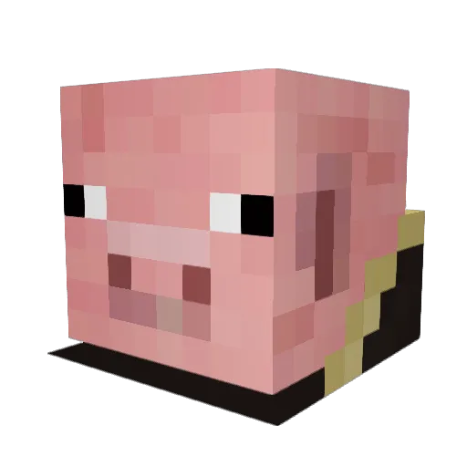 PorkBarbiQ Minecraft avatar head, 3D render