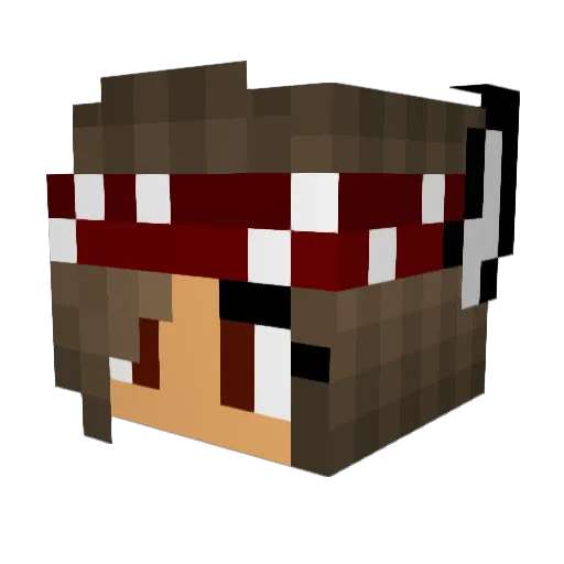 PorkHertz Minecraft avatar head, 3D render