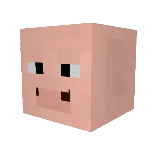 PorkJrIII Minecraft avatar head, 3D render