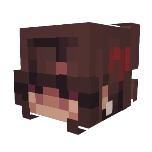 Pork_Reins Minecraft avatar head, 3D render