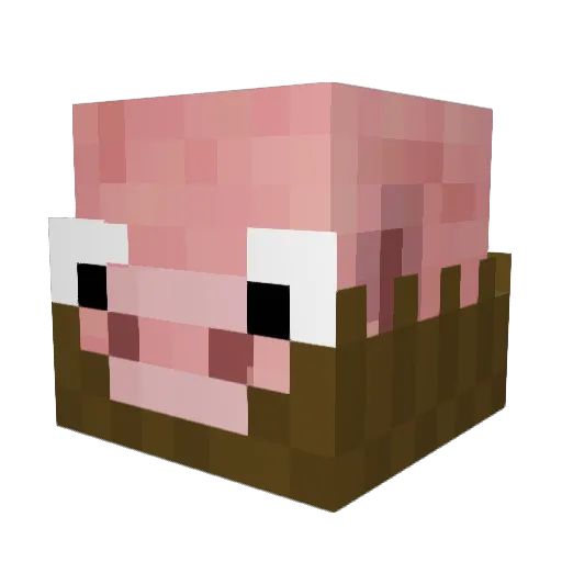 Pork_Sandwhich Minecraft avatar head, 3D render