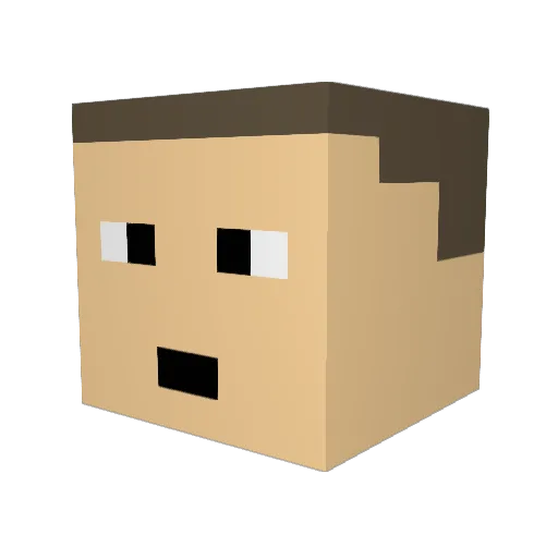 Pork_Stink Minecraft avatar head, 3D render