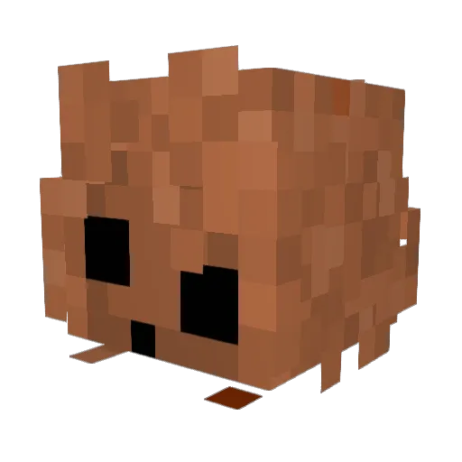 Porkanion Minecraft avatar head, 3D render