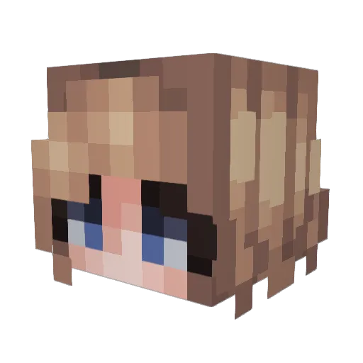 Porkchimp88 Minecraft avatar head, 3D render
