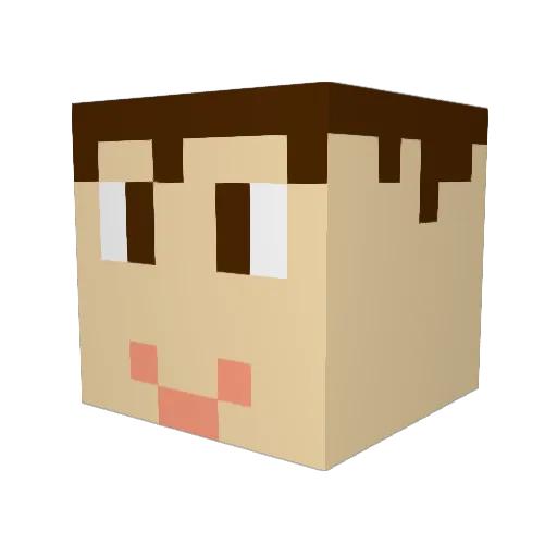 Porkchop84 Minecraft avatar head, 3D render