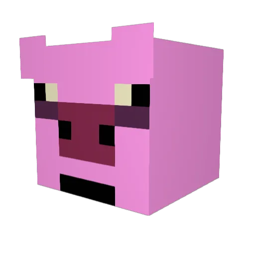 Porker06 Minecraft avatar head, 3D render