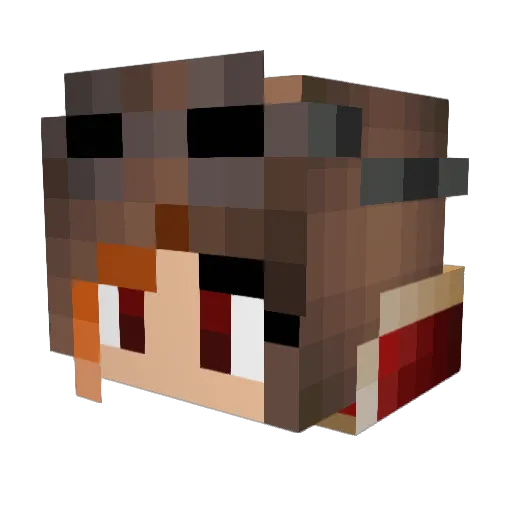 Porki37 Minecraft avatar head, 3D render