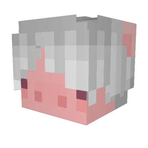Porkicus Minecraft avatar head, 3D render