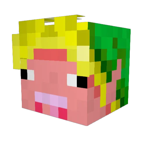 Porknbeans687 Minecraft avatar head, 3D render