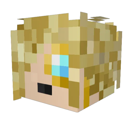 Porkryan Minecraft avatar head, 3D render