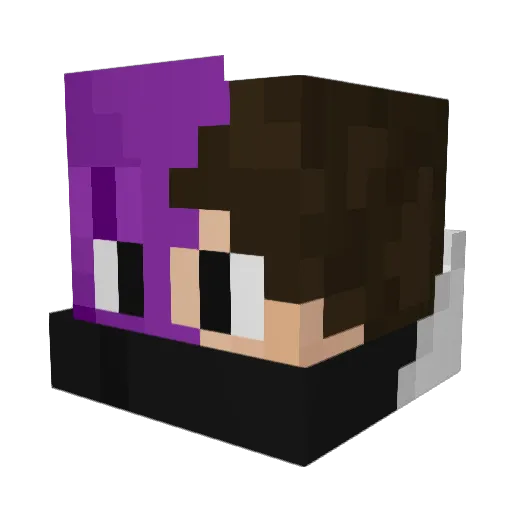 PoroWizardry Minecraft avatar head, 3D render