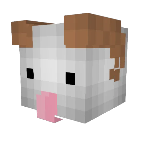 Poro___ Minecraft avatar head, 3D render
