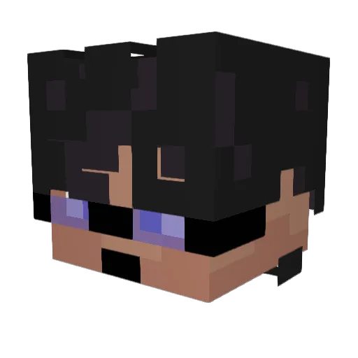 PorqueNoLosDosd Minecraft avatar head, 3D render